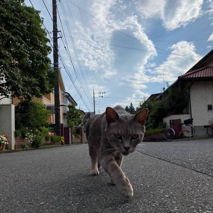 90570163 d55d 425a aec2 109cd6266787 1593938314288