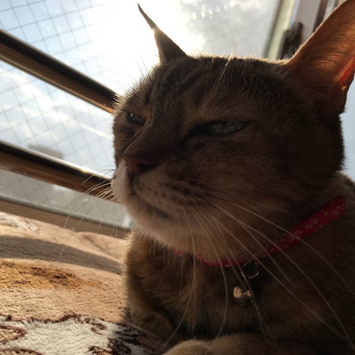 905742c1 3ae6 41ce b994 b74b970988be 1509257869179