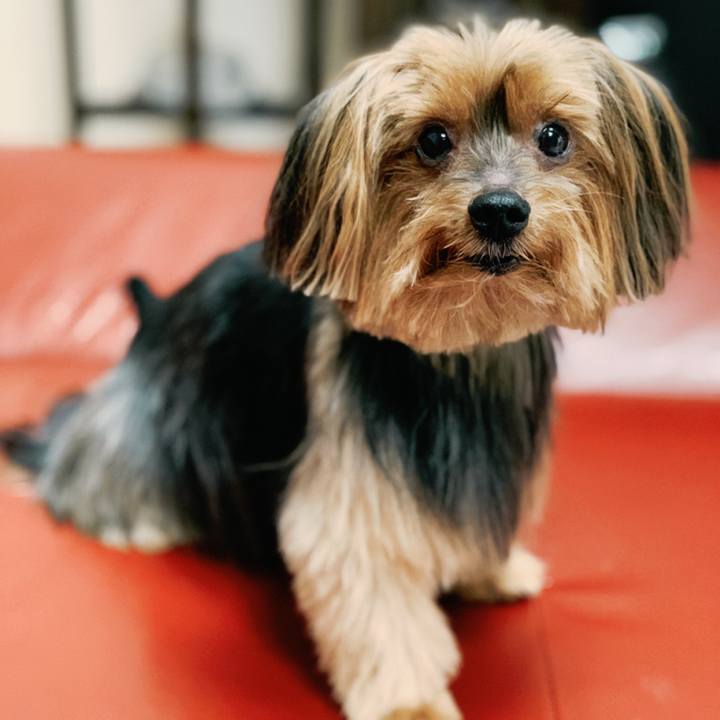 905764cb 0489 48ac 8b14 790157bd6df0 1554869515614