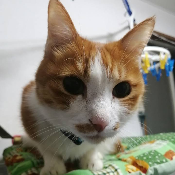 90576903 438e 4969 a8c6 e65993d0e7ba 1613425054150