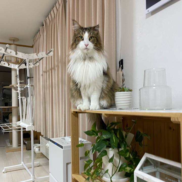 90578a21 b6c2 424d 8b67 8131f85c7aab 1678652418677