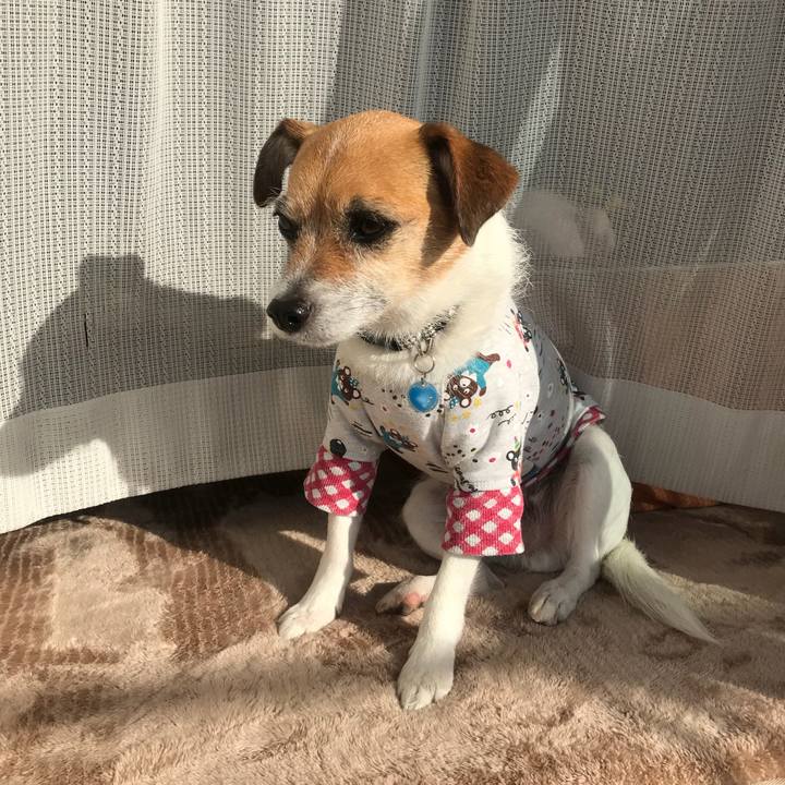 9057a9df 2150 485d 8609 b37a7ba69100 1520380807596