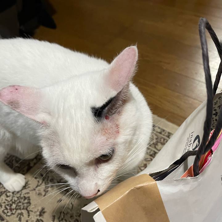 9057b6d7 9b80 45ae bbfe eb7929eb4689 1756853440168