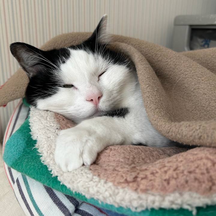 9057d789 3c42 4596 87aa 43eeb2d165a6 1773444918092