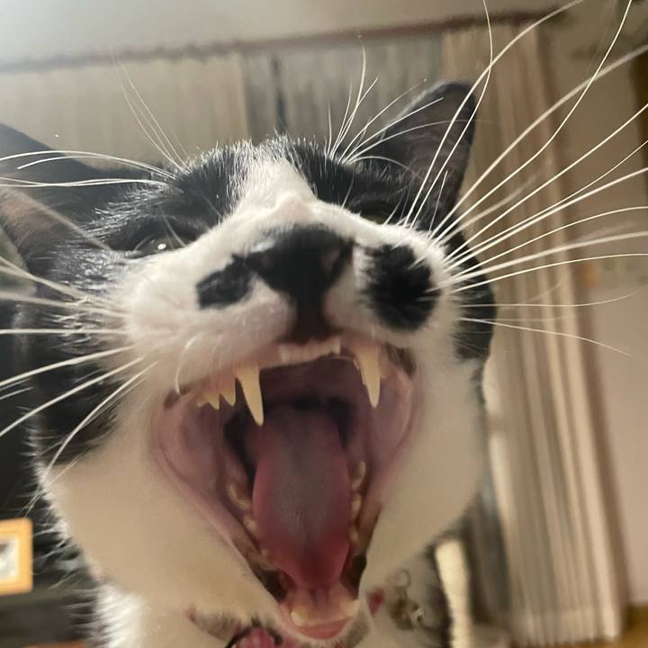 9057d871 b4af 4451 9a31 6feef927d64a 1651412803891