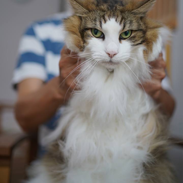 90580548 8768 49b4 8ac4 d4d2e4f67ffd 1695433136944