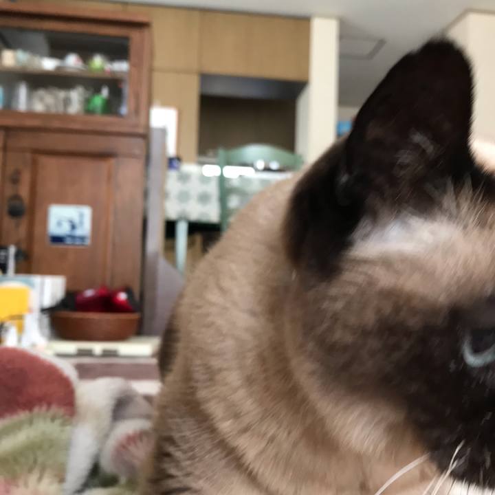 90580862 3e55 48a4 8c7a 3c0edf390d02 1553570812548