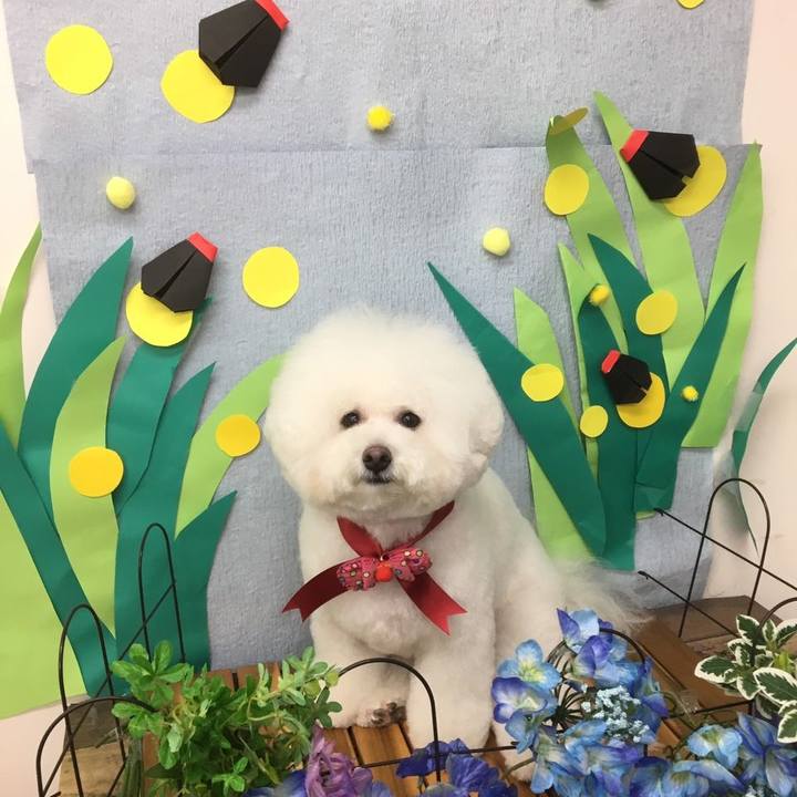 905813ba 5025 4169 a01e e463085123a3 1559826243345