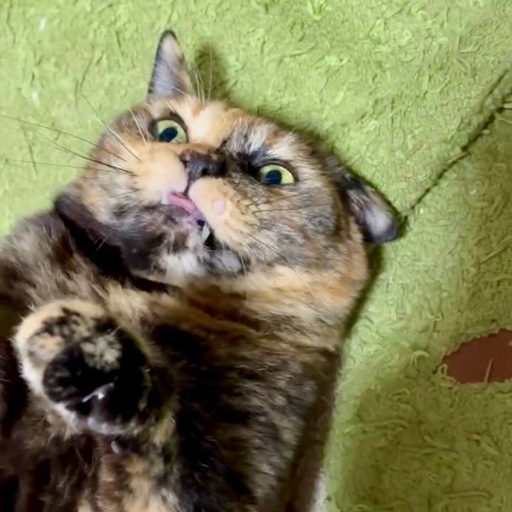 90581845 92b9 4c47 96cb 059dab324b4c 1764274127417