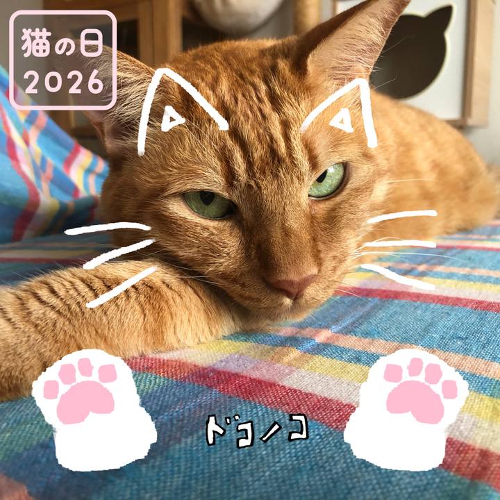 905852ca ef12 46c2 80e7 73d579f949e1 1771743721051