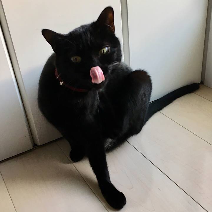 9058586b d7ec 45ef 9adb 04f911c5b096 1546903740635