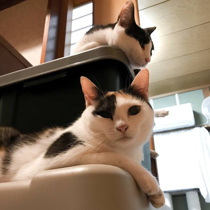 90588113 2827 46f4 92fc b93b755c0174 1532011124697