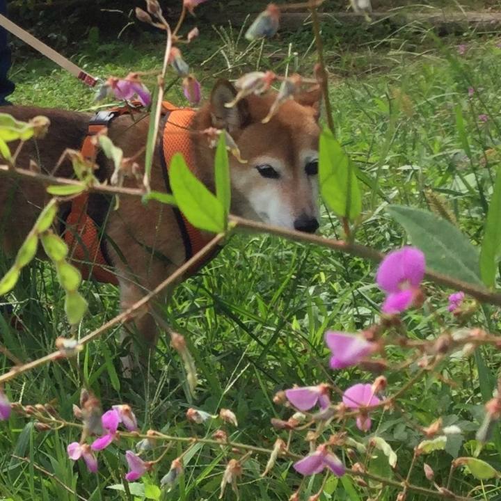 905898b0 8b81 44f9 bff5 a730fd63825d 1631504441654