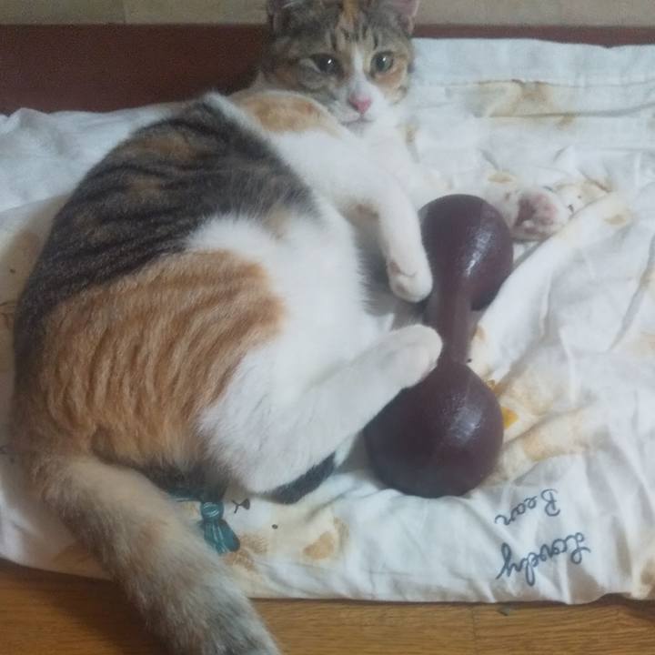 9058a261 33ea 4609 aaec efed2347d550 1729171511732