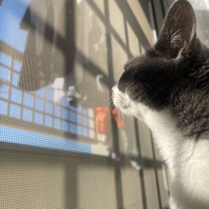 9058a59e 9151 48b5 bc56 85325a9ffb64 1734222975630