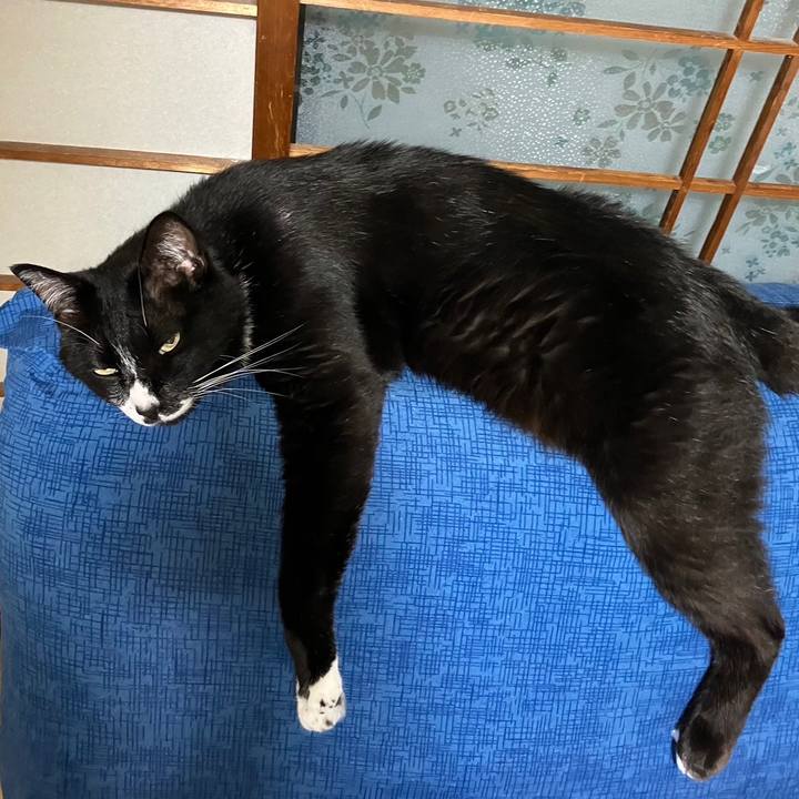 9058cdcc e695 4cd5 8323 5c4fe8bdd4f7 1689910965581