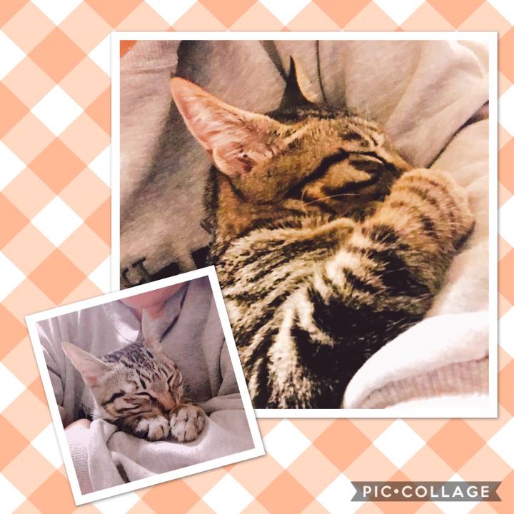 9058de5b a5e7 4ae7 ad1e 3fe68545c8e4 1541322116236