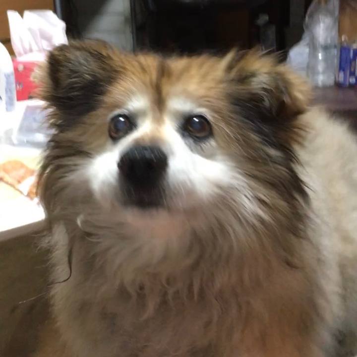 90590d16 0231 42ce 95ba f67b3c7b5bf5 1579468875800