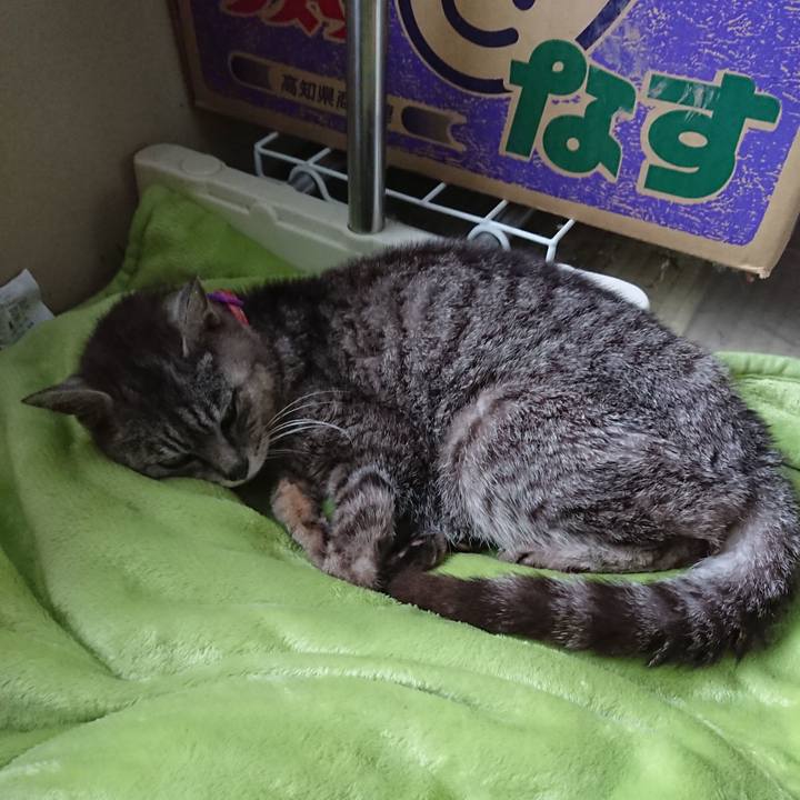 90593570 5e01 4149 b5ce e0b2bbe6cdf7 1597023430539