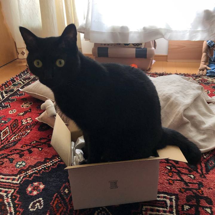 9059570f a90e 465a 8400 a3f17c669520 1564191678246