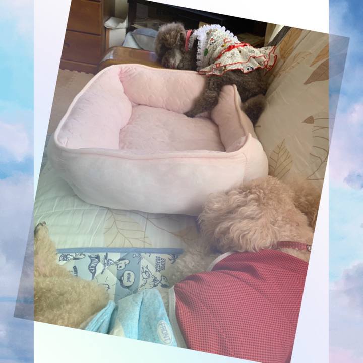 90595cb2 f842 4abf be21 771ffb66ca29 1627538208483