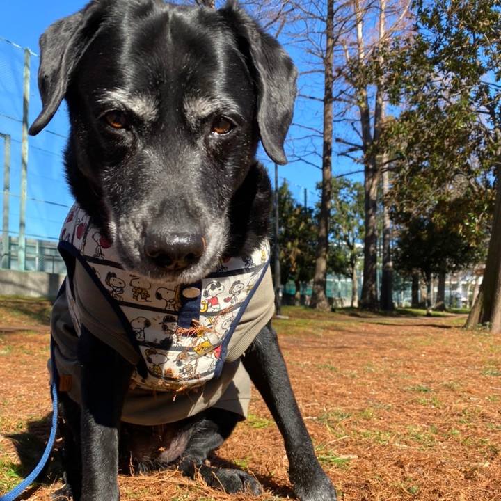 90596506 45a4 4ae0 9420 1b7539e9d624 1639972266174