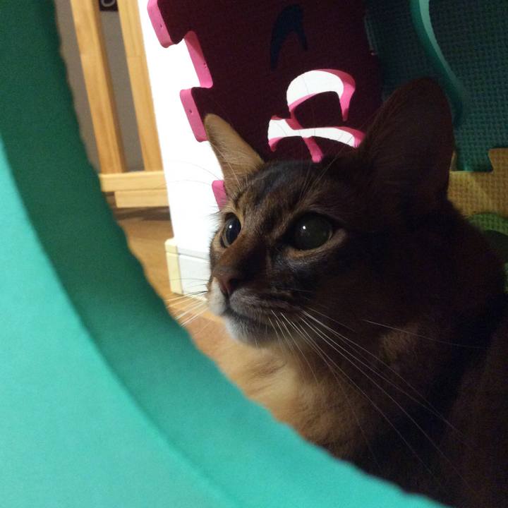 90596acb 35a6 42b2 af47 7f6fcc5e92bd 1604242904968