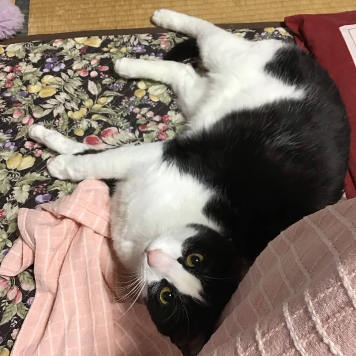 905986fc 652b 4599 9c03 782e063389ca 1681520972928