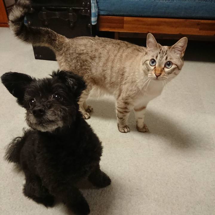 90599279 5b8c 4973 b424 febad006cb5e 1569064468468