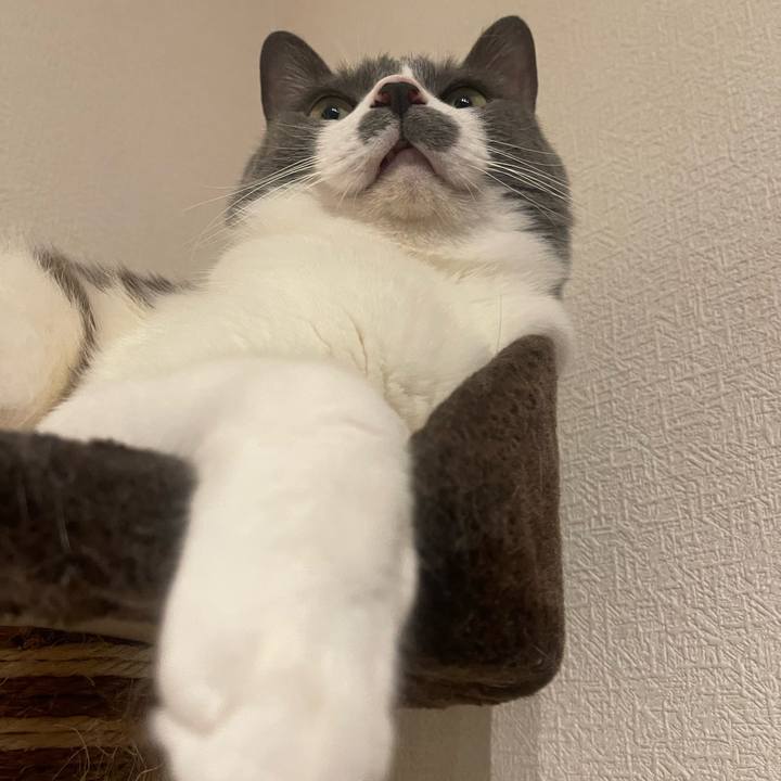 9059b0f7 c8d5 4907 991b d352f2c67e04 1716393485738