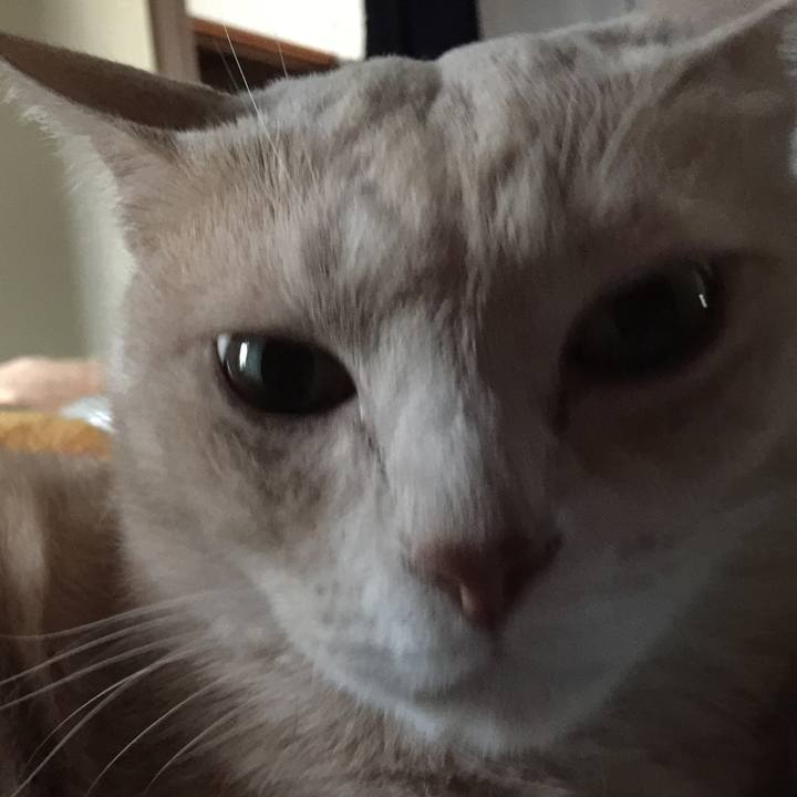 9059d5bb 45c1 4e32 a261 9fd78ba290f5 1571871611866