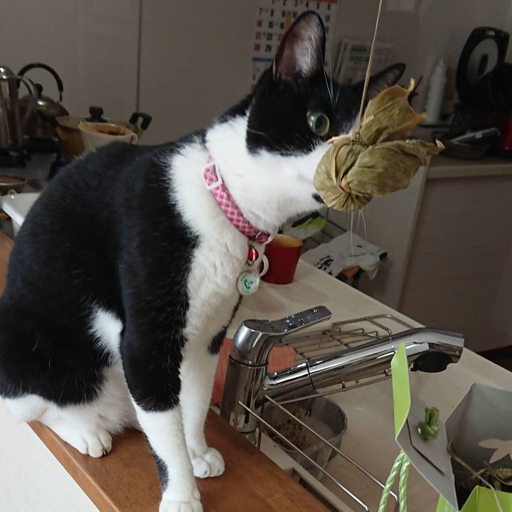 9059eb53 e274 4e58 882e b2420bddd504 1632615126189