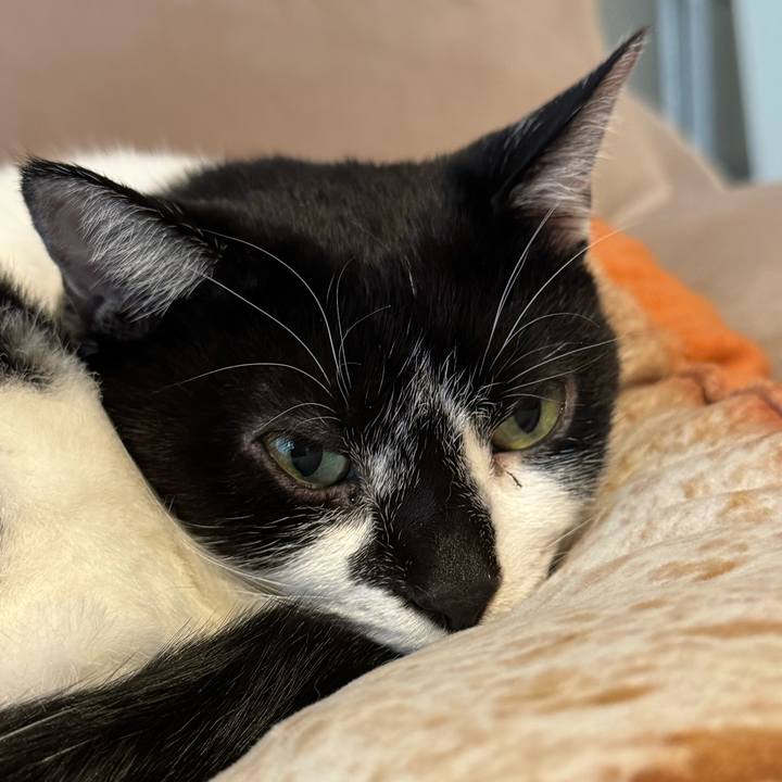 9059f2f1 ccbd 49df 99d9 2087814f02e8 1762122170305