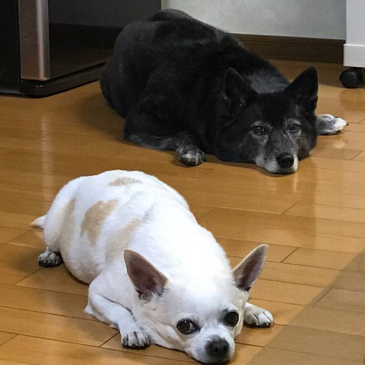 9059f687 f4ec 43f1 99a3 9759905e59da 1551500063325