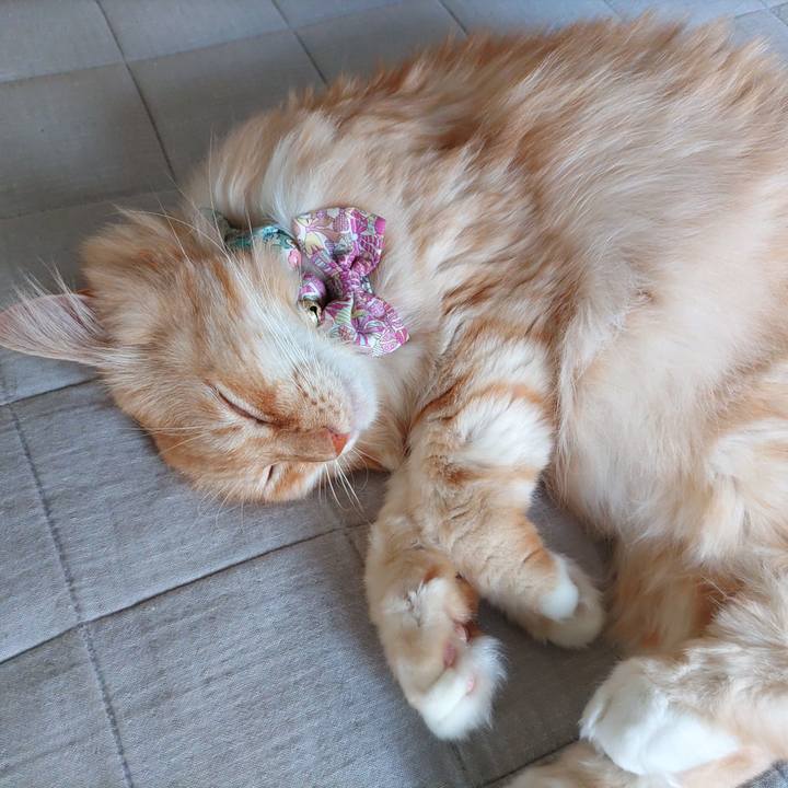 905a0133 994c 44f3 b9d0 32fb6176bbe2 1663374129229