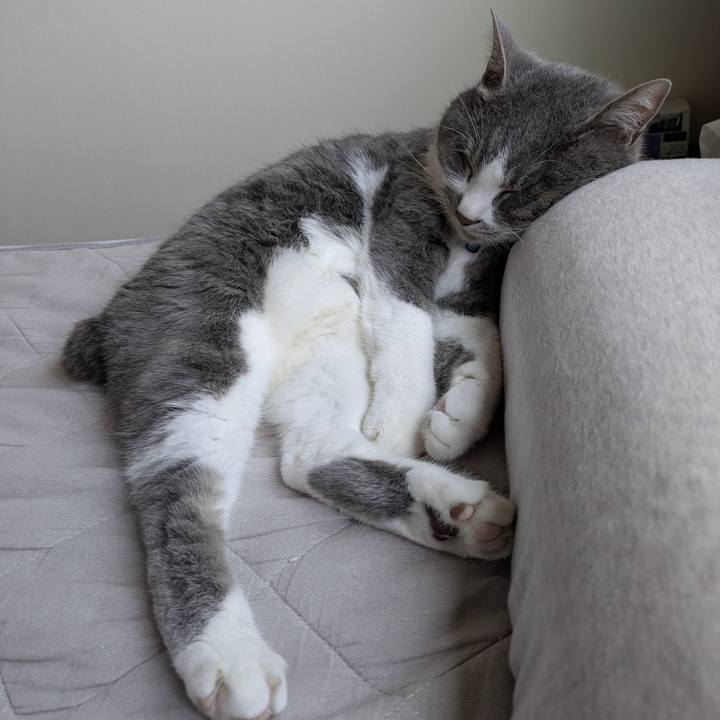 905a1058 d55a 4dfb b50f c8cc0c87b860 1749261601655