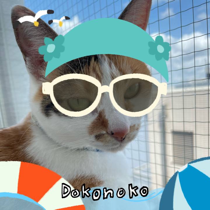 905a1c33 1e2c 467b 8e9d 54ea864ed2cd 1723343175185