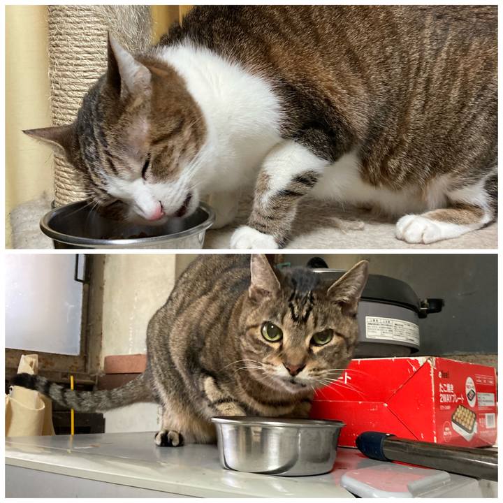 905a4fa5 c972 4ee1 b5d6 8ee6e42c4800 1604209460427