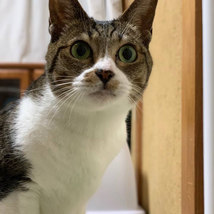 905a8094 cb19 4514 bdcf 5e8f41e14859 1542589837346