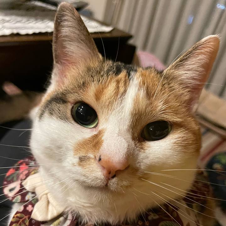 905aa952 ebc5 4115 a891 cda87632b801 1745328827174