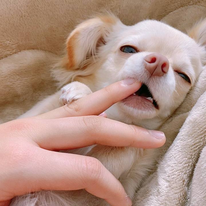 905acf7f 3b2d 4aa0 8550 f34ad1510016 1611899398804