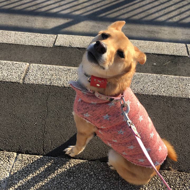 905ae03c a3d0 40ab ba2e b34376beaa07 1517739556170