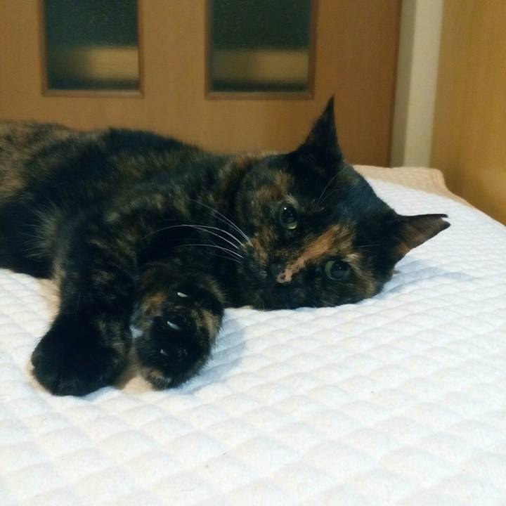 905b57c4 dcb2 4649 9a89 814d772b2276 1561966501108