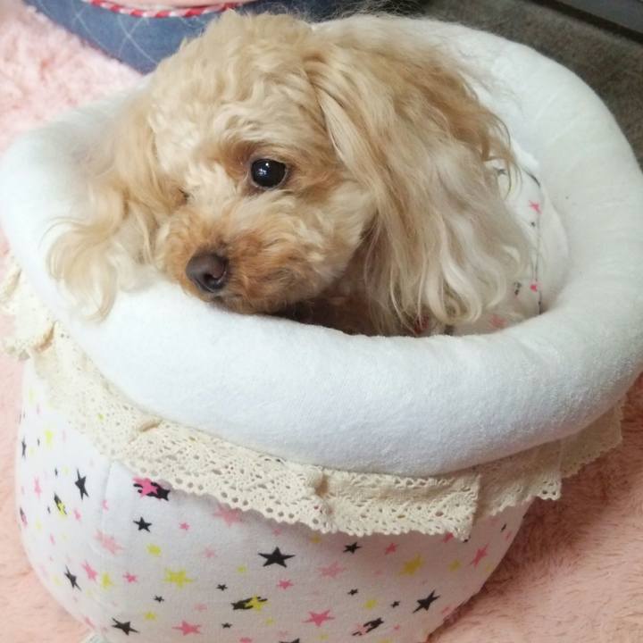 905b7b99 f3c9 43e0 a474 4fbb6fb787a4 1521193162032