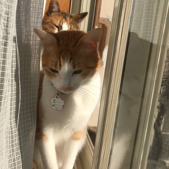 905b89e4 804e 492b b337 8688b163953b 1515715171262