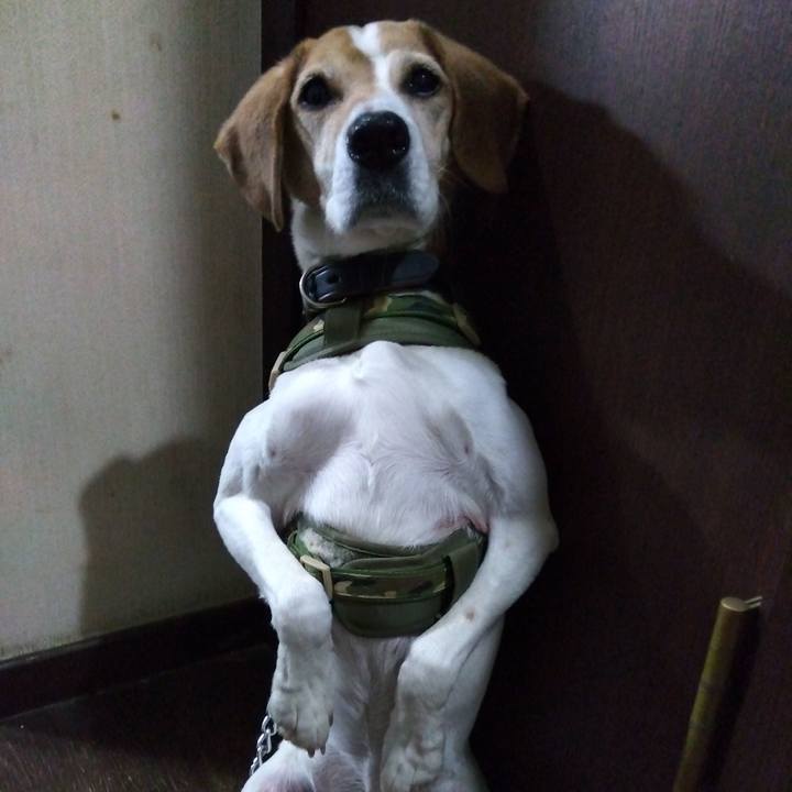 905bb065 f80f 425a 9e8f 34c0d48c7627 1711894708784