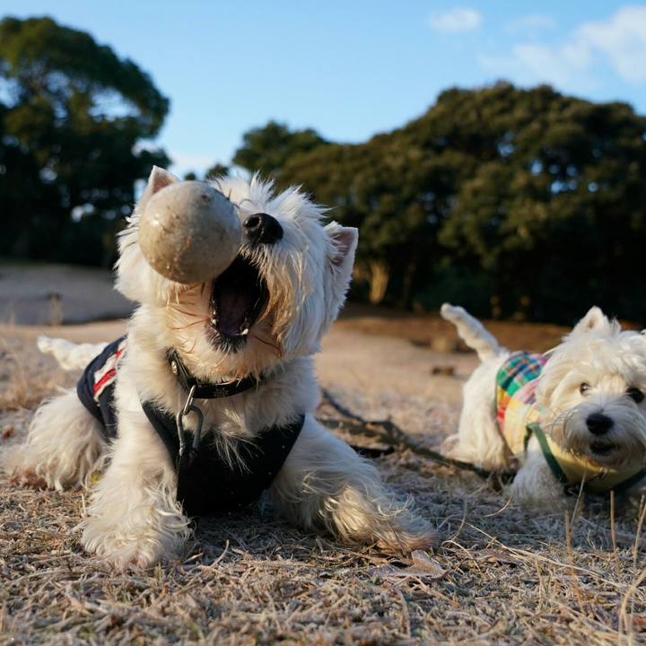 905bbbdf d2eb 4b30 a7e9 37c6ca2c4cea 1513926359827