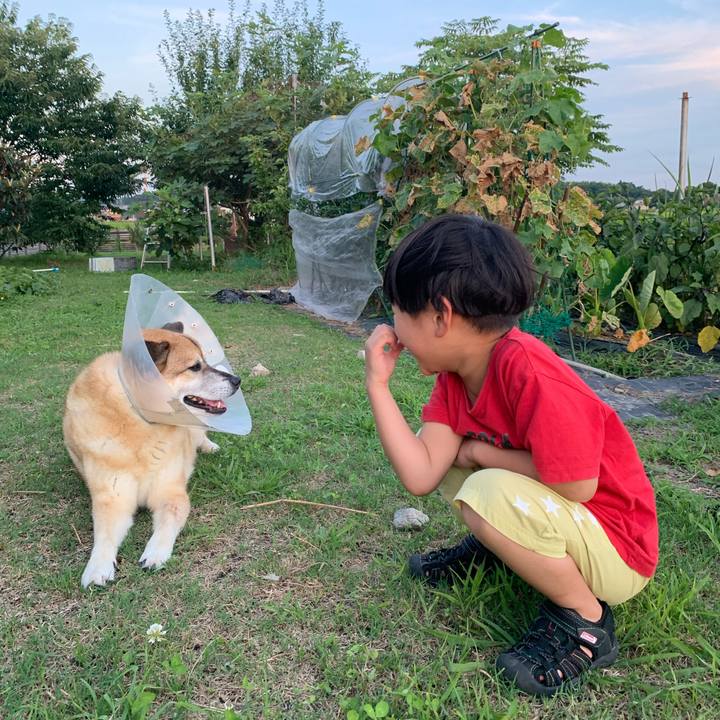 905c5caf 82bb 4a05 b6c7 831c7ec8fbf7 1626958957556