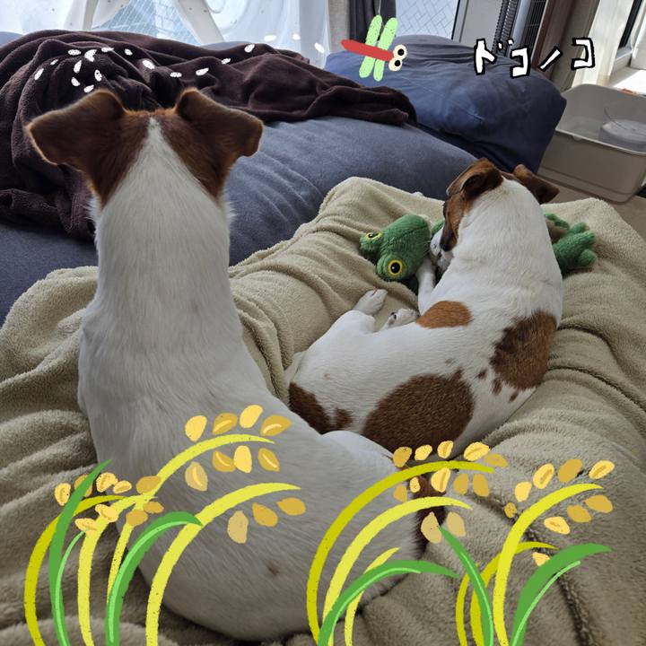 905c902f 643b 437b b2b7 abc423097d5a 1761201025302