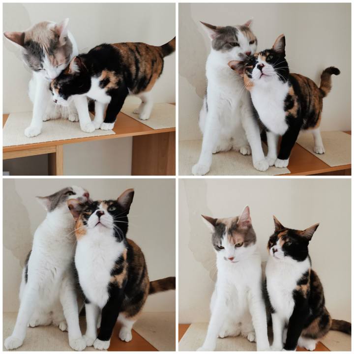 905ca78f c896 438f 9715 98c924eaef9f 1647400093884